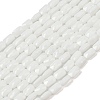 Opaque Glass Beads Strands GLAA-Z018-D17-1