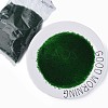 15/0 Transparent Czech Glass Seed Beads SEED-N004-004-23-3