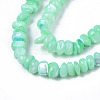 Natural Sea Shell Beads Strands SSHEL-S278-131C-3