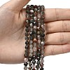Natural African Bloodstone Beads Strands G-Z119-A28-01-2