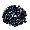 Natural Shungite Tumbled Chips PW-WGA7DCE-09-1