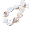 Natural Freshwater Shell Beads Strands SHEL-S278-068-4