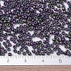 MIYUKI Round Rocailles Beads X-SEED-G007-RR2019-4