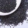 MIYUKI Delica Beads X-SEED-J020-DB1001-1