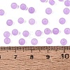 FGB Frosted Transparent Glass Seed Beads SEED-N013-02A-07-4