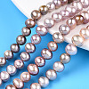 Natural Cultured Freshwater Pearl Beads Strands PEAR-N013-06S-1