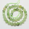 Natural Prehnite Beads Strands G-G457-10mm-03-2