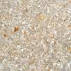 6/0 Spray Paint Fringe Glass Seed Beads SEED-H003-11B-2