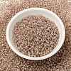 MIYUKI Round Rocailles Beads X-SEED-G008-RRHB279-4