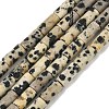 Natural Dalmatian Jasper Beads Strands G-B091-A19-01-2