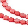 Natural Freshwater Shell Dyed Beads Strands SHEL-K001-001B-3