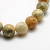 Round Natural Crazy Lace Agate Beads Strands G-P058D-01-2