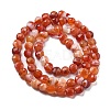 Natural Red Agate Beads Strands G-C179-A02-02-3