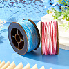 2 Rolls 2 Colors Segment Dyed Round Polyester Twisted Cords OCOR-TA0003-59D-5