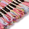 10 Skeins 6-Ply Polyester Embroidery Floss OCOR-K006-A75-2