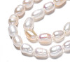 Natural Cultured Freshwater Pearl Beads Strands PEAR-N012-05D-4