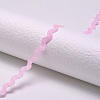Polyester Ribbons SRIB-S050-E07-3