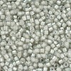 MIYUKI Delica Beads X-SEED-J020-DB1711-3
