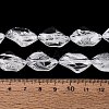 Handmade Lampwork Beads Strands LA-N046-02O-4