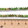 Dyed Natural Regalite/Imperial Jasper/Sea Sediment Jasper Beads Strands G-B124-C05-08-2