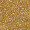 TOHO 8/0 Round Beads X-SEED-TR08-0162F-2