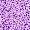 Baking Paint Glass Seed Beads SEED-T006-03K-2