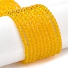 Transparent Glass Beads Strands GLAA-H021-03-06-1
