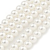 Glass Pearl Beads Strands HY-G002-01B-01-1