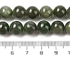 Natural Canada Jade Beads Strands G-NH0001-G01-01-5