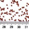 FGB 11/0 Grade A Glass Seed Beads X-SEED-S030-1210-4