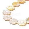 Natural Yellow Shell Beads Strands SSHEL-G023-10A-3