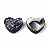 Natural Abalone Shell/Paua Shell Beads SSHEL-T014-16A-2