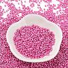Baking Paint Glass Seed Beads X-SEED-S042-15B-27-2