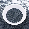 MIYUKI Delica Beads X-SEED-J020-DB0325-3