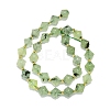 Natural Prehnite Beads Strand G-I376-C02-01-2