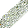 Transparent Glass Beads Strands EGLA-N028-01A-A02-1