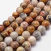 Natural Crazy Lace Agate Beads Strands G-D840-70-10mm-1