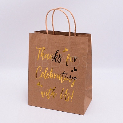 Kraft Paper Bags LS-ABAG-WH0025-01-1