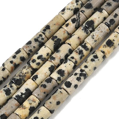 Natural Dalmatian Jasper Beads Strands G-B091-A19-01-1