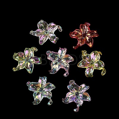 Transparent Acrylic Beads X-MACR-K358-06B-1