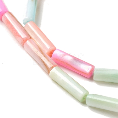 Rainbow Color Dyed Natural Freshwater Shell Beads Strands X1-SHEL-G018-02B-1