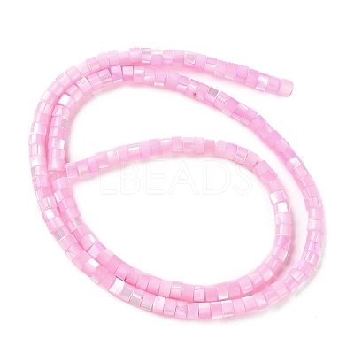 Natural Trochus Shell Dyed Beads Strands BSHE-E030-10C-1