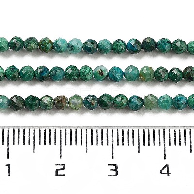 Natural Chrysocolla Beads Strands X-G-P514-A03-02-01-1