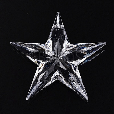 Transparent Acrylic Pendants TACR-T028-09A-1