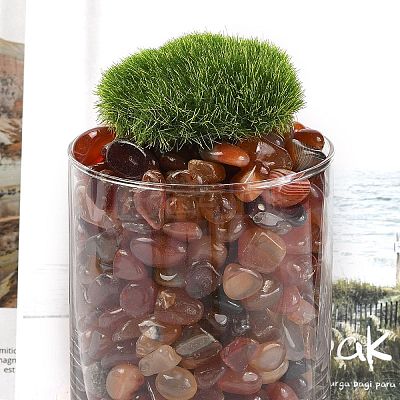 Dyed & Heated Natural Agate Beads X1-G-J402-03A-01-1