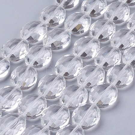 Glass Bead Strands X-GLAA-S003-20x11mm-14-1