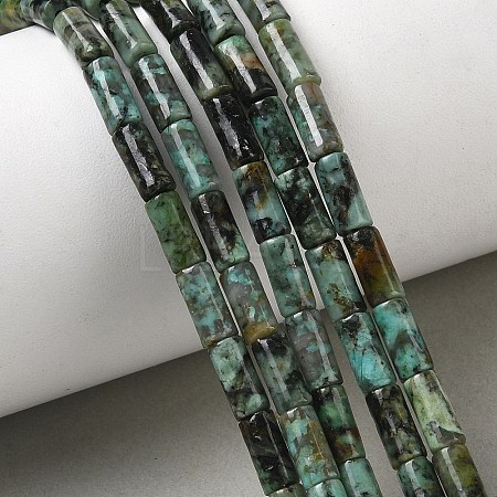 Natural African Turquoise(Jasper) Beads Strands G-B091-A25-01-1