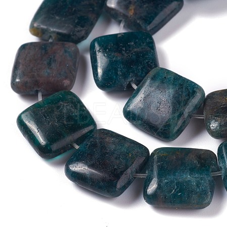 Natural Apatite Beads Strands G-H242-06B-1