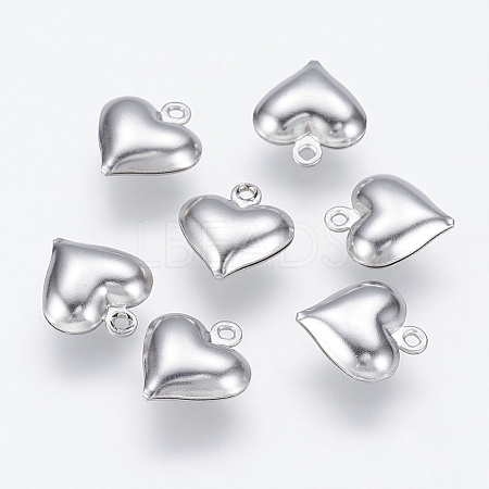 304 Stainless Steel Charms STAS-K150-08P-1