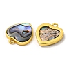 Natural Paua Shell Pendants KK-E059-10G-2